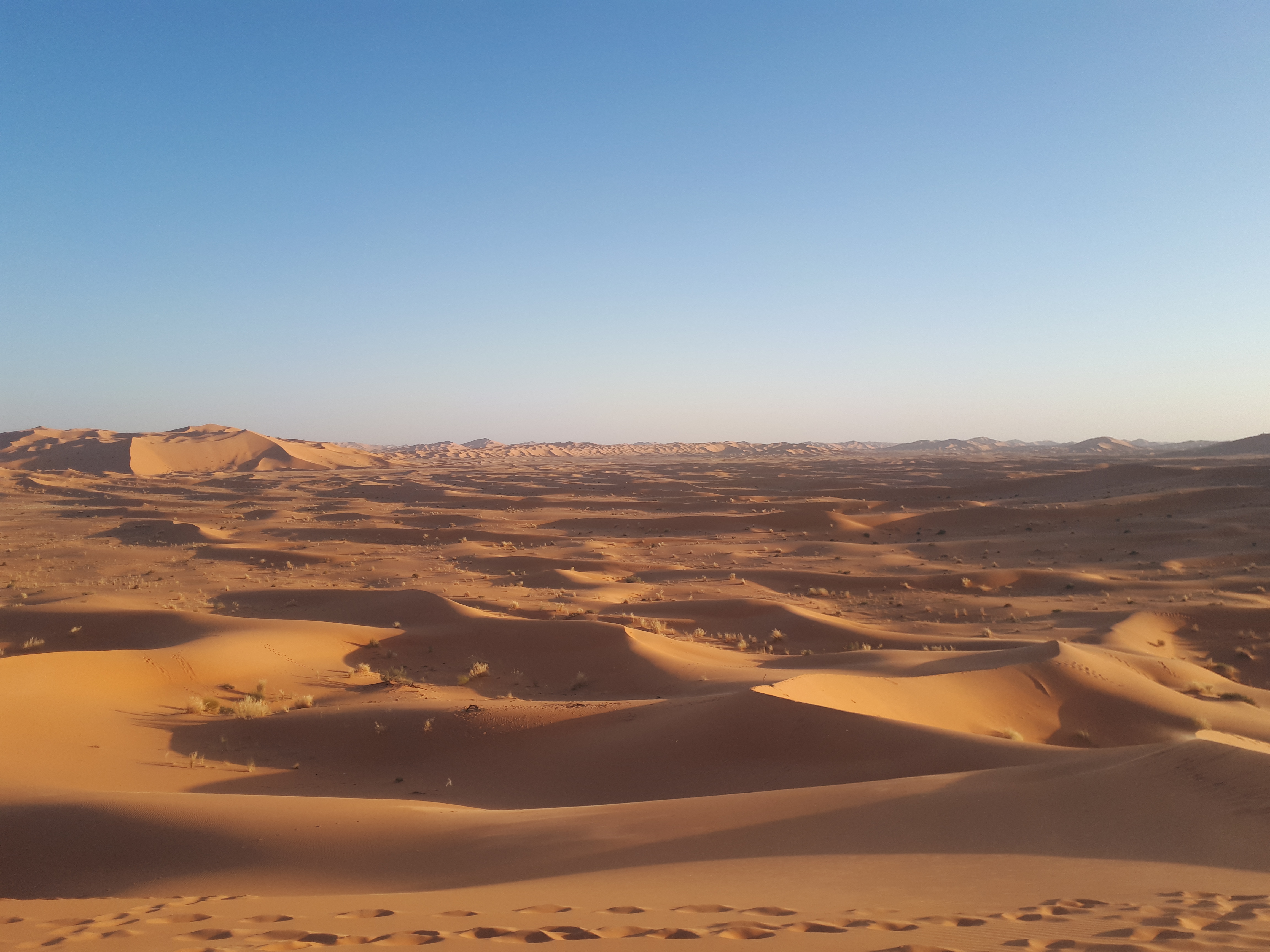 رمال صحراء الجزائر الذهبية تحت سماء زرقاء