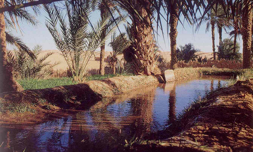 واحة تيميمون بلونها الأحمر المميز
